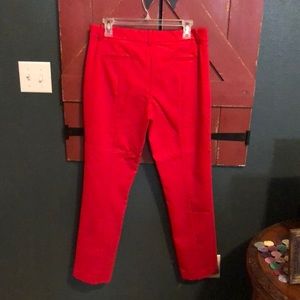 Express dress pants